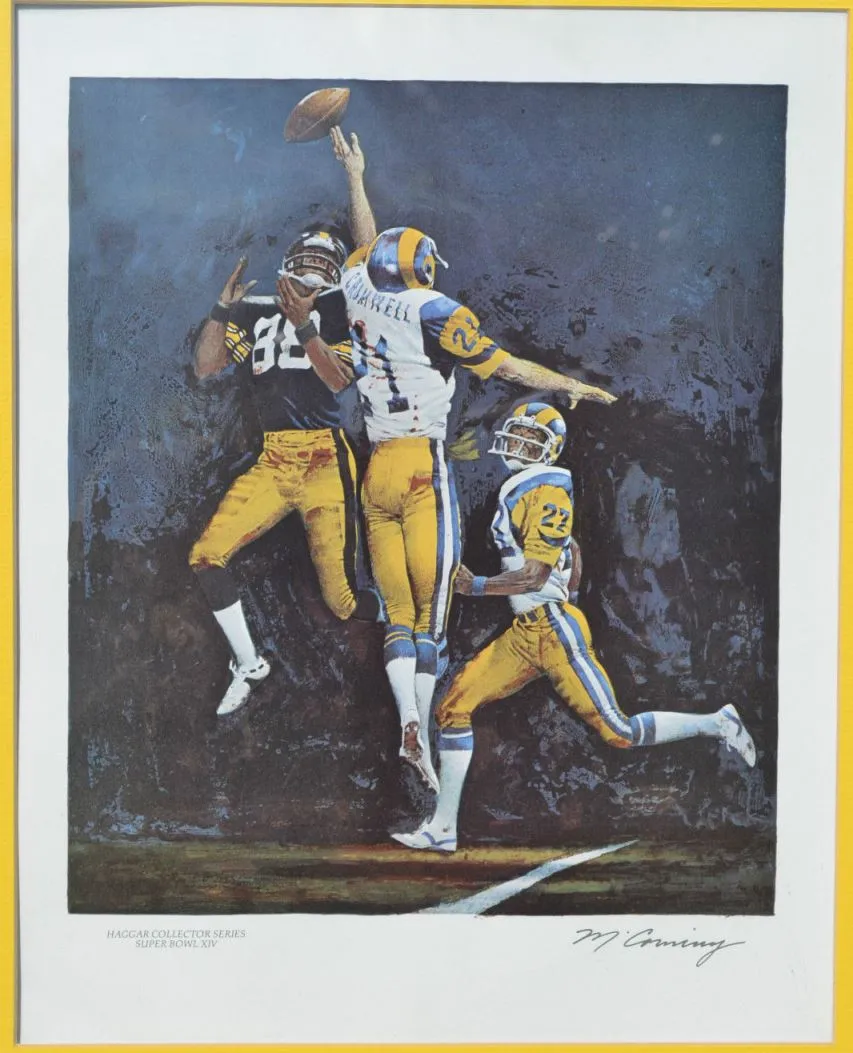 Super Bowl XIV        Miscellaneous