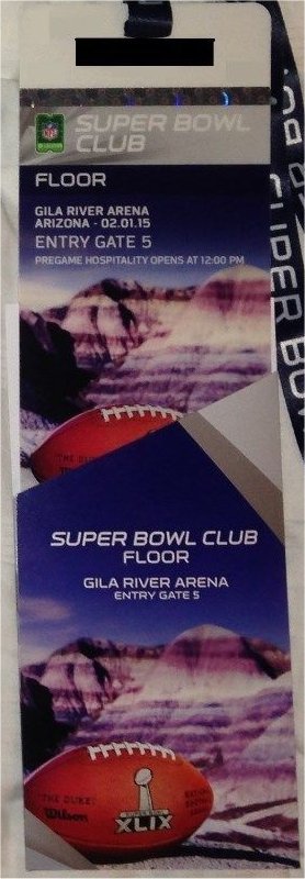 Super Bowl XLIX       Pass