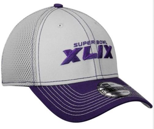Super Bowl XLIX       Hats