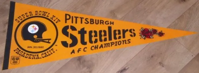 Super Bowl XIV        Pennant