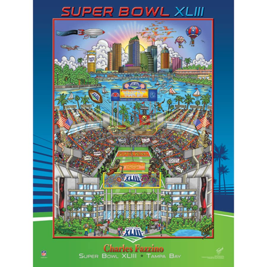 Super Bowl XLIII      Miscellaneous