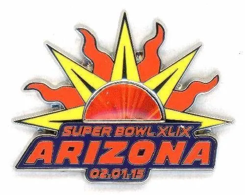 Super Bowl XLIX       Pin