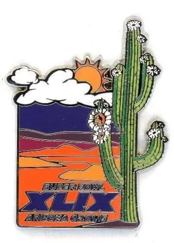 Super Bowl XLIX       Pin