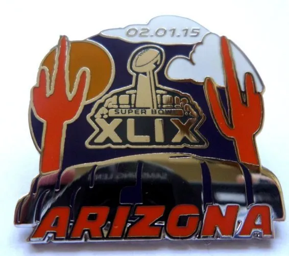 Super Bowl XLIX       Pin