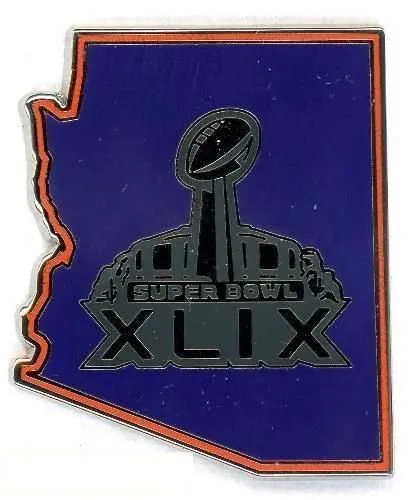 Super Bowl XLIX       Pin