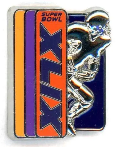 Super Bowl XLIX       Pin