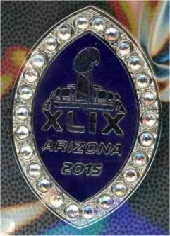 Super Bowl XLIX       Pin