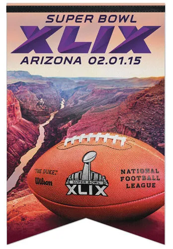 Super Bowl XLIX       Miscellaneous