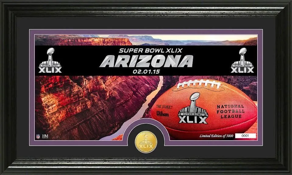 Super Bowl XLIX       Miscellaneous