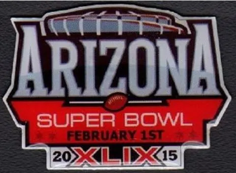 Super Bowl XLIX       Pin