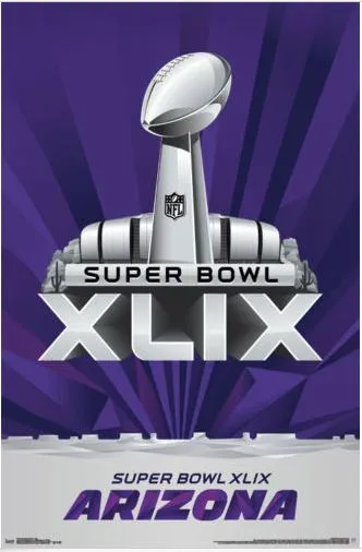 Super Bowl XLIX       Miscellaneous