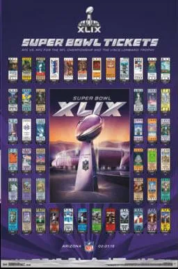 Super Bowl XLIX       Miscellaneous