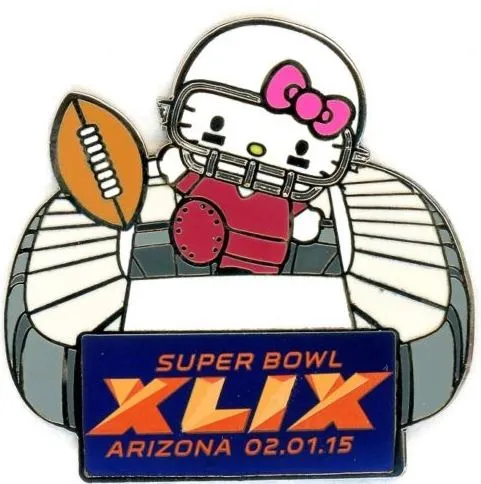 Super Bowl XLIX       Pin