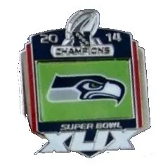 Super Bowl XLIX       Pin