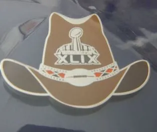 Super Bowl XLIX       Pin