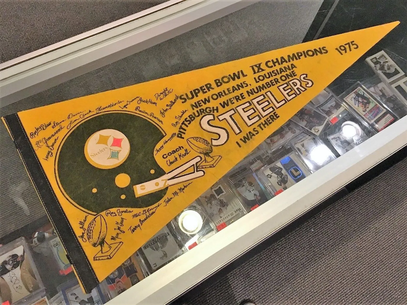Super Bowl IX         Pennant