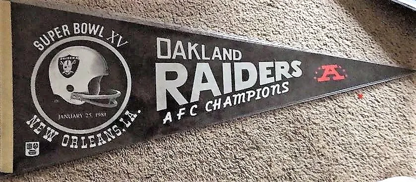 Super Bowl XV         Pennant