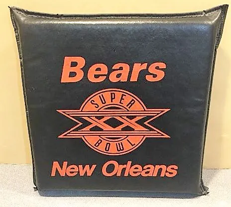 Super Bowl XX         Cushion