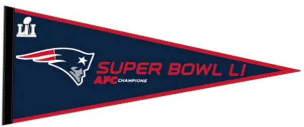Super Bowl LI         Pennant