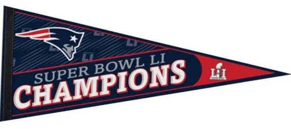 Super Bowl LI         Pennant