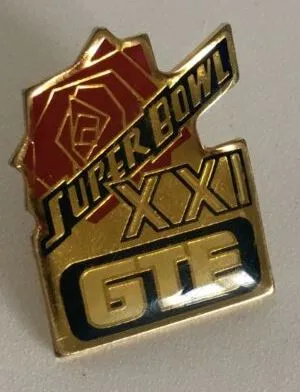 Super Bowl XXI        Pin