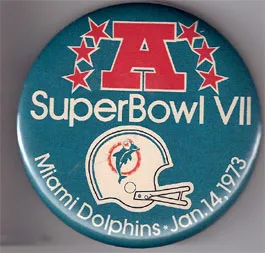 Super Bowl VII        Pin