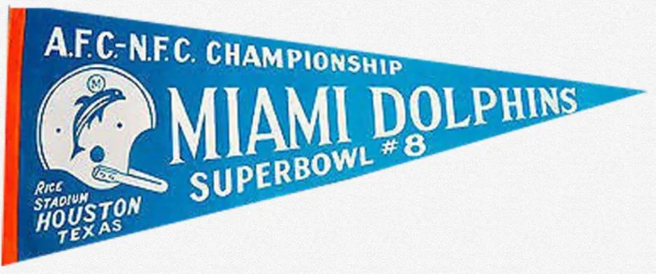 Super Bowl VIII       Pennant