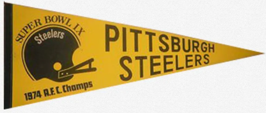 Super Bowl IX         Pennant