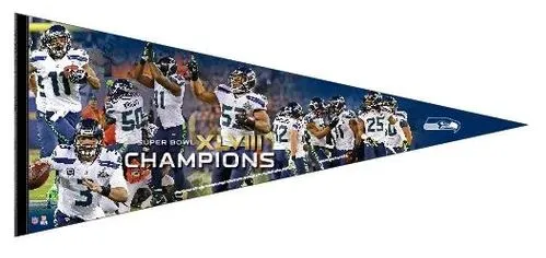 Super Bowl XLVIII     Pennant
