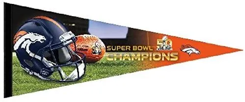 Super Bowl 50         Pennant