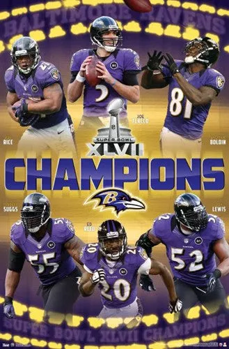 Super Bowl XLVII      Miscellaneous