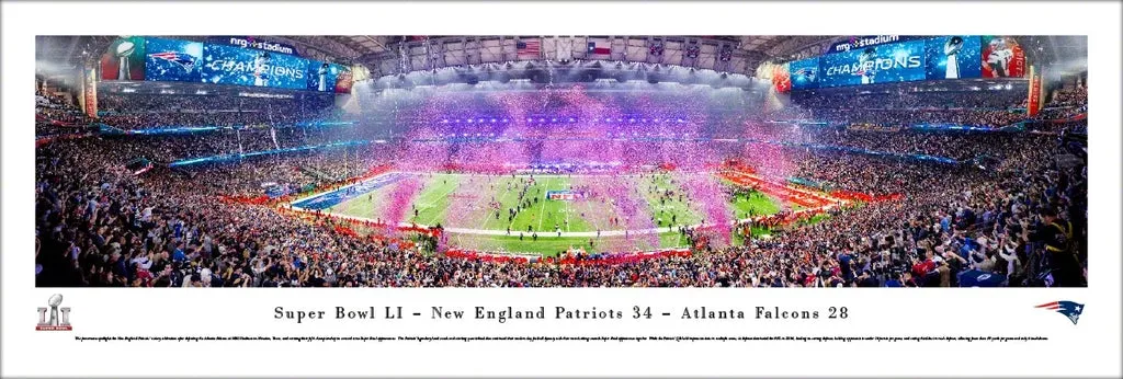 Super Bowl LI         Miscellaneous