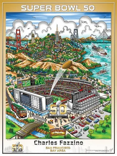 Super Bowl 50         Miscellaneous