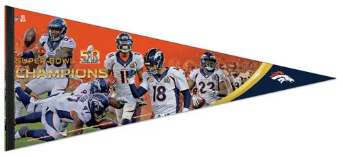 Super Bowl 50         Pennant