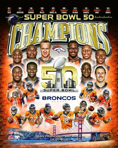 Super Bowl 50         Miscellaneous