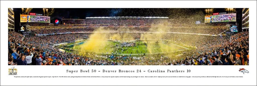 Super Bowl 50         Miscellaneous